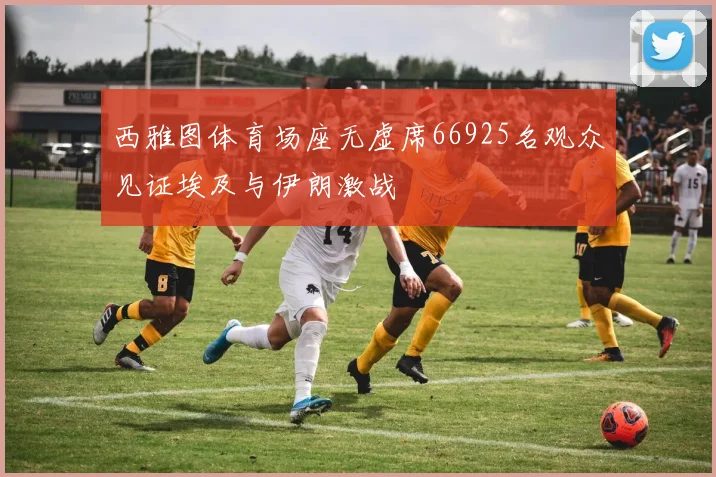 西雅图体育场座无虚席66925名观众见证埃及与伊朗激战