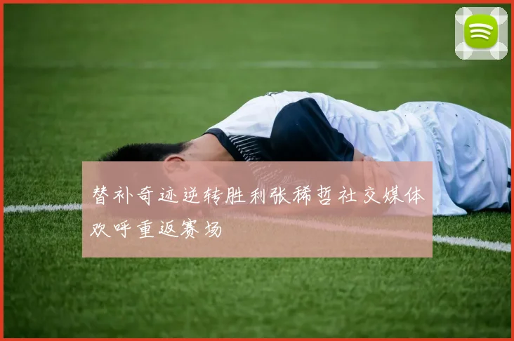 替补奇迹逆转胜利张稀哲社交媒体欢呼重返赛场